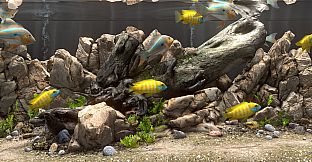 Behind Glass: Aquarium Simulator - Decoration Pack