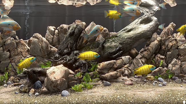 Behind Glass: Aquarium Simulator - Decoration Pack