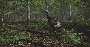 Pro Tukey Hunting