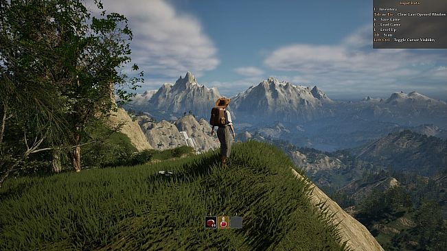 The Wandering Trader