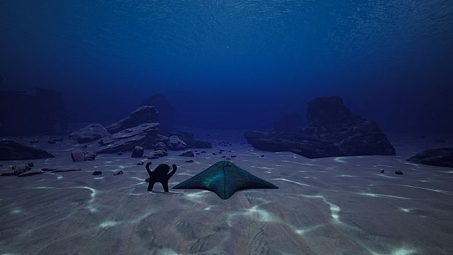 Starfish Simulator