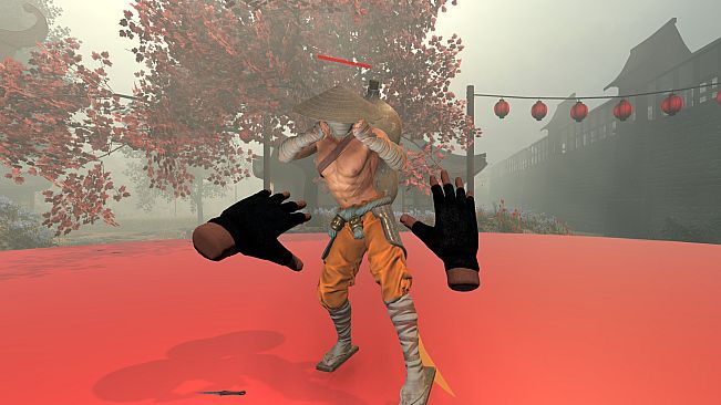VR Immortal Fight