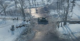 Company of Heroes 2