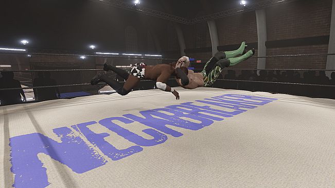 Neckbreaker: Visceral Pro Wrestling