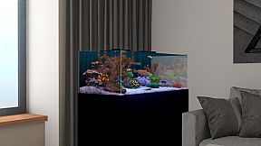 Behind Glass: Aquarium Simulator