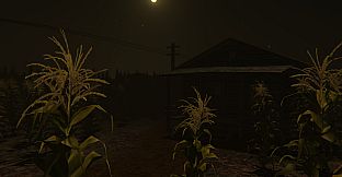 Cornfield