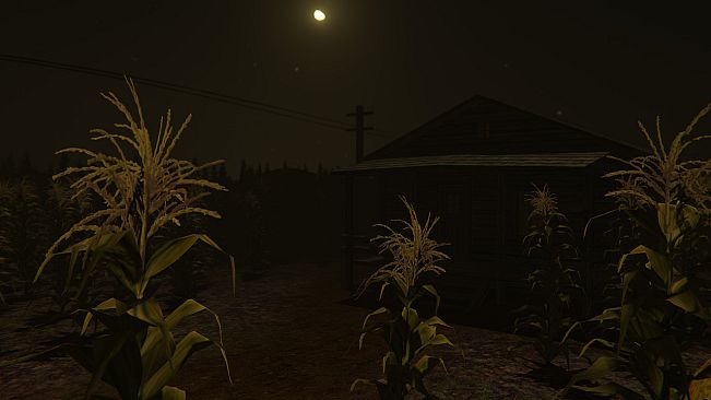 Cornfield