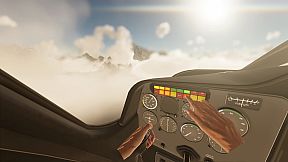 Flight Simulator Delivery 2025 VR