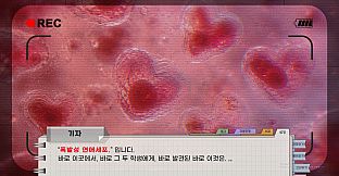 절대사랑금지구역