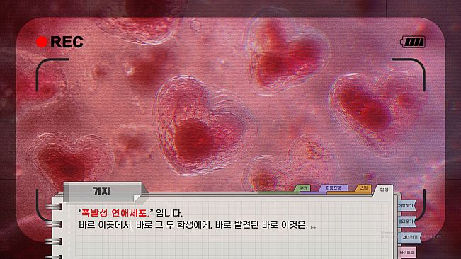 절대사랑금지구역