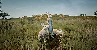 Animalia Survival EggHunt