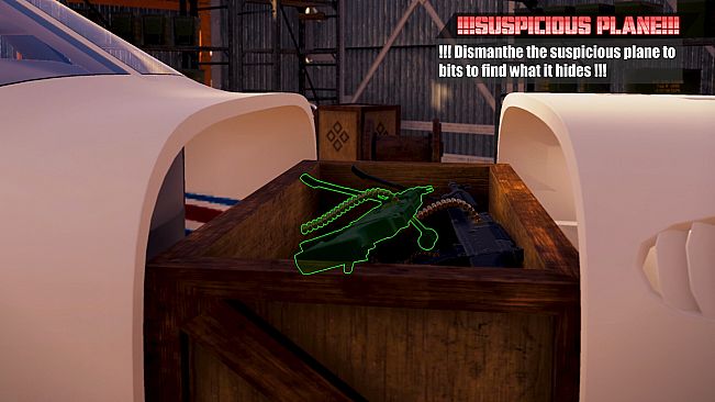 Airport Contraband Police