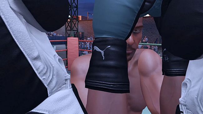 The Thrill Of The Fight 2 - Puma Original Special Edition Black Gloves