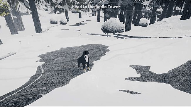 Long Drive North: Co-Op RV Simulator