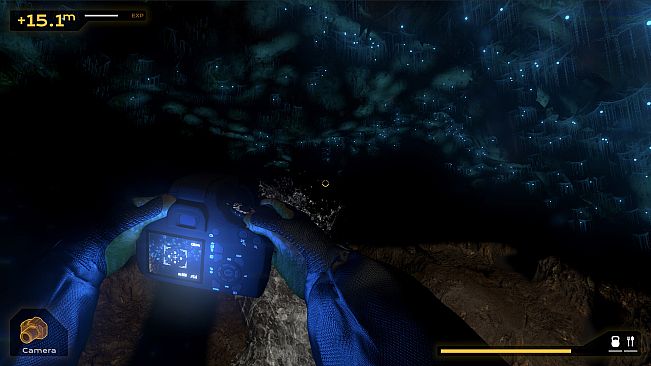 Cave Expedition
