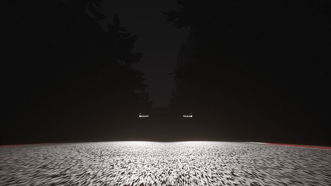 Velocity Racing: 1000