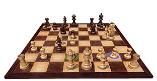 Fritz Chess 14