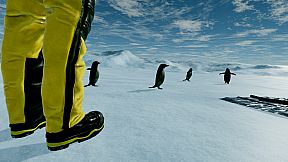 Kolb Antarctica Experience