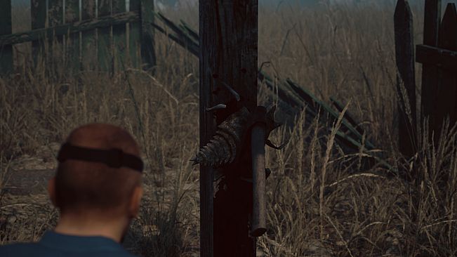 Abnormal1999:Sector 49