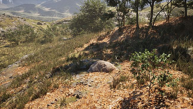 Stone Simulator – Just Be a Rock