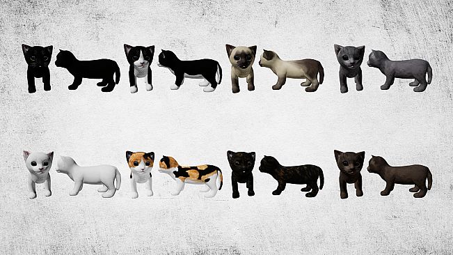 Capsa - Pet Essentials Pack