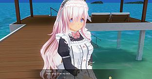 CUSTOM ORDER MAID 3D2&2.5+ X1+Vol.02