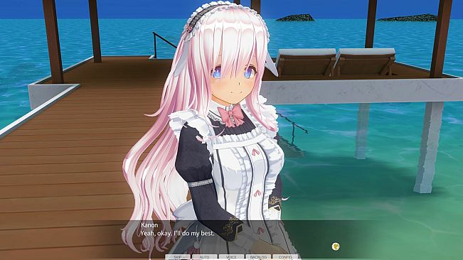 CUSTOM ORDER MAID 3D2&2.5+ X1+Vol.02