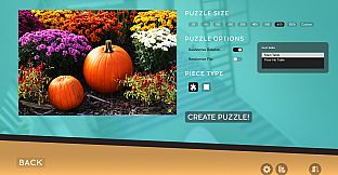 Jigsaw Puzzle Dreams - Radiant Pack