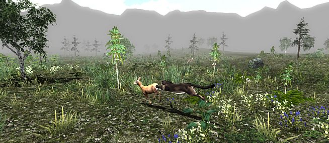 Untamed: Life Of A Cougar