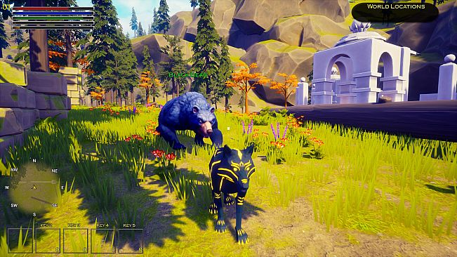 Dragomir: The Dreaming