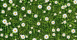 Puzzles Patterns