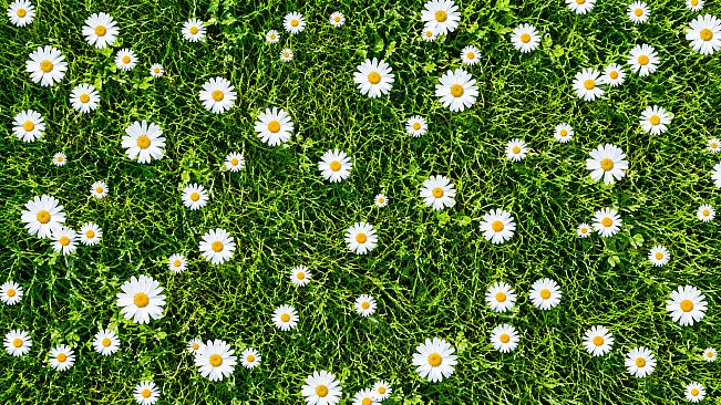 Puzzles Patterns