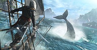 Assassin's Creed IV Black Flag - Crusader & Florentine Pack