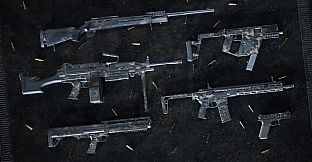 Insurgency: Sandstorm - Resurgence Set Bundle