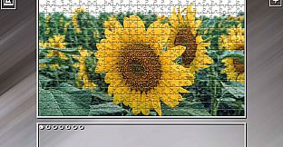 Super Jigsaw Puzzle: Generations - Flowers 2