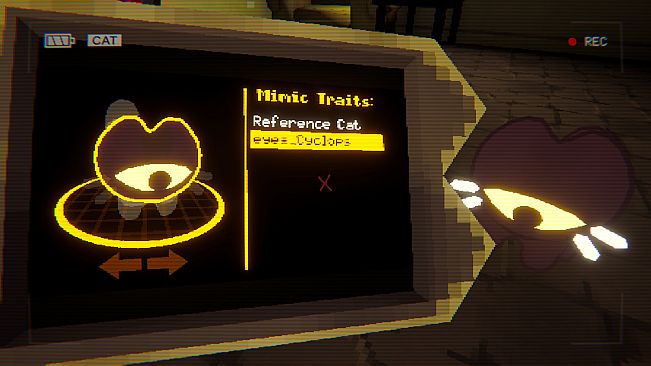 Have You Seen This Cat?