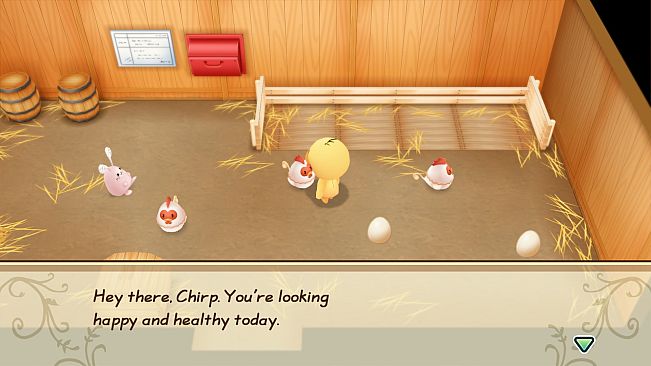 STORY OF SEASONS: Friends of Mineral Town - Chick Costume