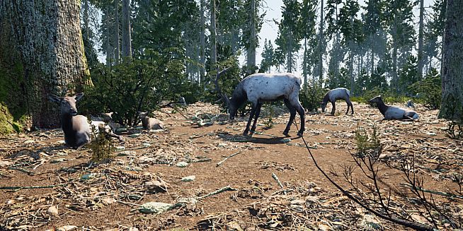 Wilderness Survival: The Conservationist