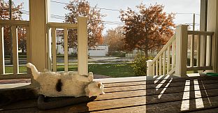 A Day with Wuki