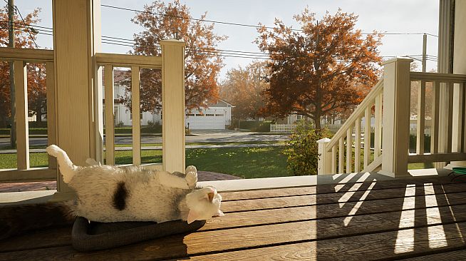 A Day with Wuki