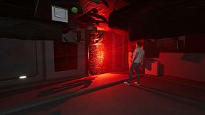 The Mirror Dimension