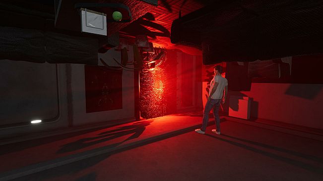 The Mirror Dimension