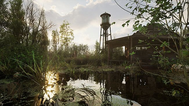 Forest Doesn’t Care