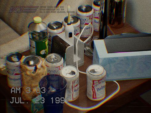 Virtual Crime Scene - Apartment 213