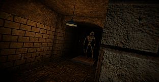 The Designer's Curse