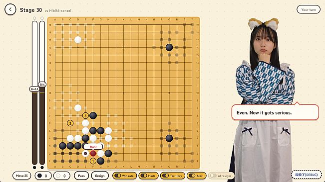Hibiki & Kanon's Go 19x19 Complete Biginner's Course