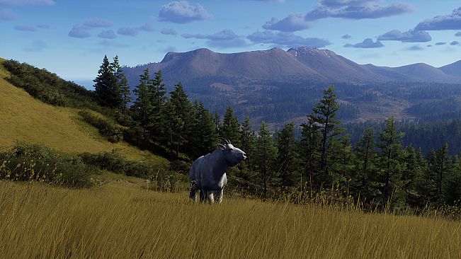 Way of the Hunter - Elkcrest Island