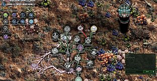 Mycelium Conquest: Mitosis