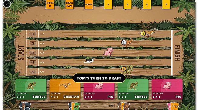 Animals Race