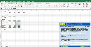 Professor Teaches Excel 2016 – Mac